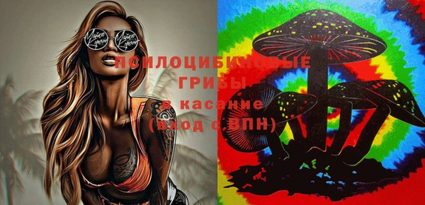 синтетический гашиш Козельск