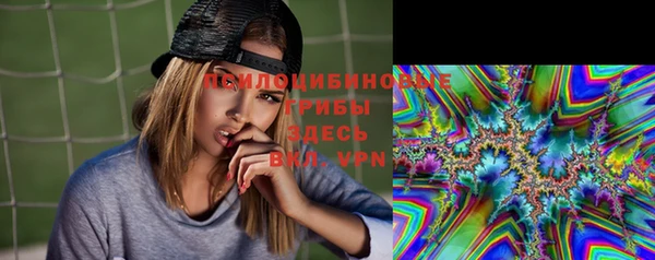 метадон Козловка