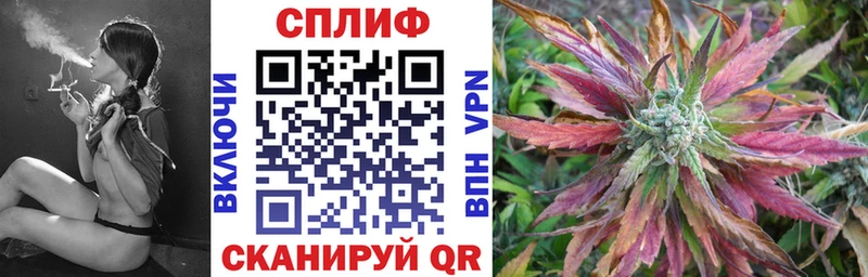 Купить где  Мелеуз  Конопля VHQ 